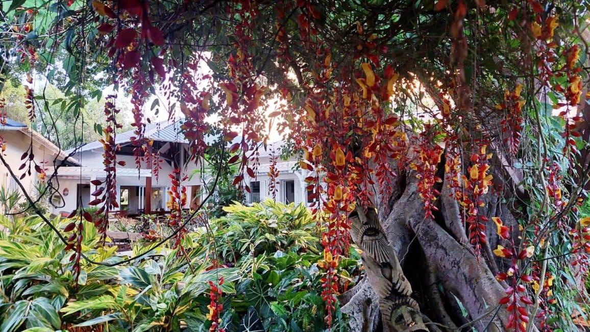 Tree Lodge Mauritius Belle Mare Exterior foto